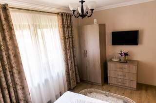 Гостевой дом Vila Rodica Transalpina Шугаг Двухместный номер с 1 кроватью и собственной ванной комнатой-2