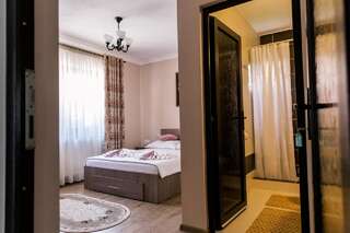 Гостевой дом Vila Rodica Transalpina Шугаг Двухместный номер с 1 кроватью и собственной ванной комнатой-7
