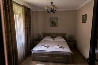Гостевой дом Vila Rodica Transalpina Шугаг Двухместный номер с 1 кроватью и собственной ванной комнатой-12